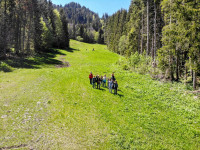 Aufla2019JS 174